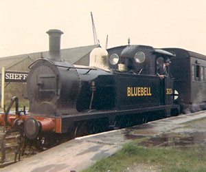 323 'Bluebell' at Sheffield Park in 1962 - Andrew Waller