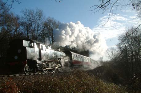 80151 in Lindfield Wood - David Chappell - 6 Jan 2008