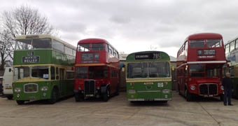 Buses at SP - 16 November 2008 - Peter Churchman