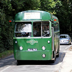 Green Line RF near Kingscote - Derek Hayward - 8 August 2010