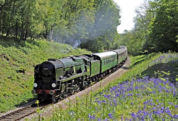 34059 with service train in Lindfield Wood - Derek Hayward - 3 May 2011