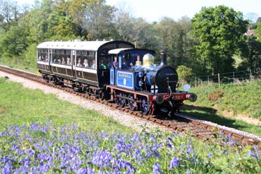 323 with a Spring Special amongst the Bluebells - Andrew Strongitharm - 27 April 2011