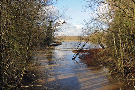 Flooding River Ouse at Sheffield Park - Derek Hayward - 18 January 2011