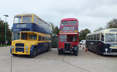 Buses at Sheffield Park - Keith Duke - 27 October 2013