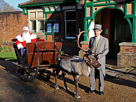 Reindeer with Santa's sleigh - Derek Hayward - 13 December 2014