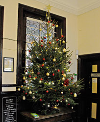 Christmas tree at Sheffield Park - Derek Hayward - 3 December 2014