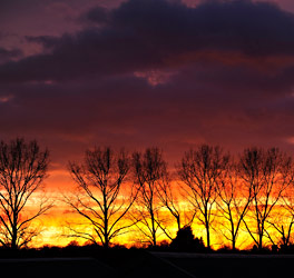 Sunset at Sheffield Park - Derek Hayward - 20 December 2014