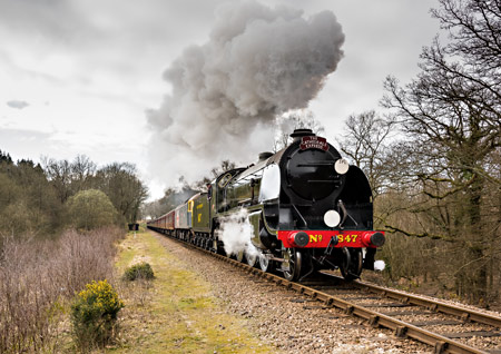 S15 heads the Cathedrals Express at Black Hut - Andrew Shapland - 21 March 2015
