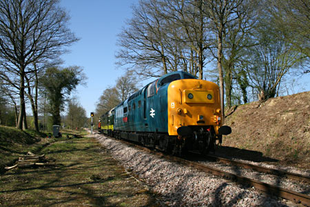 09 hauling the Deltics south at Imberhorne Lane Cutting - Alan Gomme - 15 April 2015