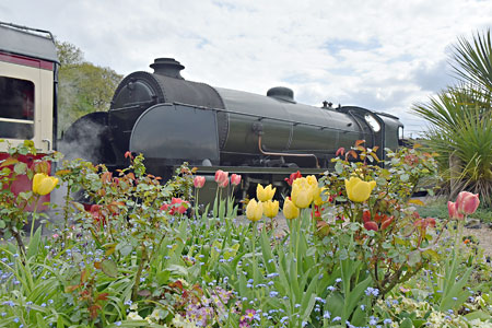 S15 and spring flowers at Horsted Keynes - Brian Lacey - 27 April 2015
