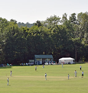 Cricket match - Brian Lacey - 22 August 2015