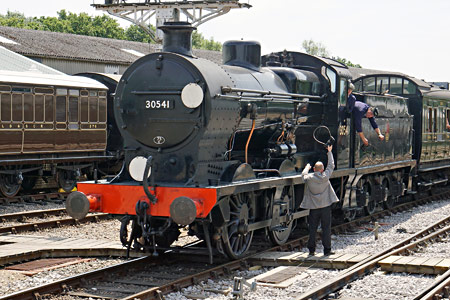 Q-class 30541 arriving at Horsted Keynes - Brian Lacey - 18 July 2015