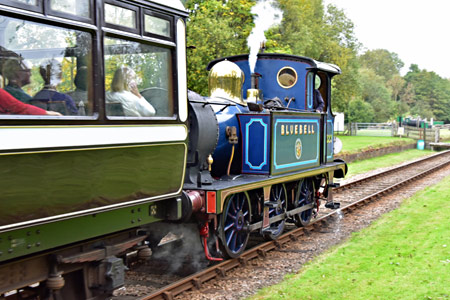 323 with Autumn Tints train at West Hoathly - Brian Lacey - 19 October 2015