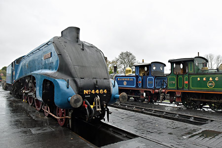 A4 and P-tanks on shed at Sheffield Park - Brian Lacey - 7 November 2015