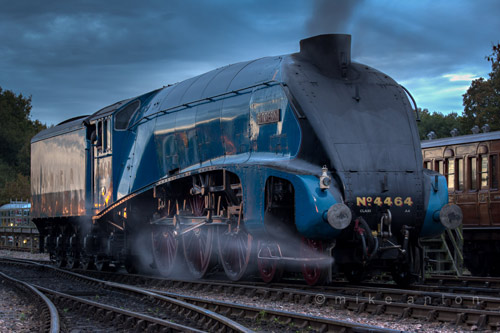 4464 Bittern in light steam at Sheffied Park - Mike Anton - 30 October 2015