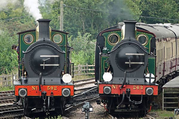 C-class and H-class at Sheffield Park - Brian Lacey - 17 September 2016