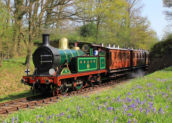 H-class and line-side bluebells - Peter Edwards - 22 April 2018