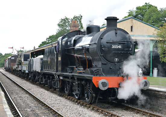 Q-class with goods train at Horsted Keynes - David Long - 17 June 2018