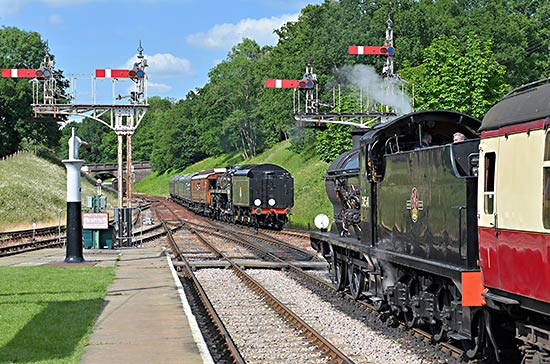 Q and 'Camelot' pass at Horsted Keynes - Brian Lacey - 22 June 2019