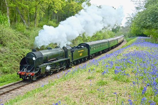847 amidst the Bluebells - Steve Lee - 4 May 2019