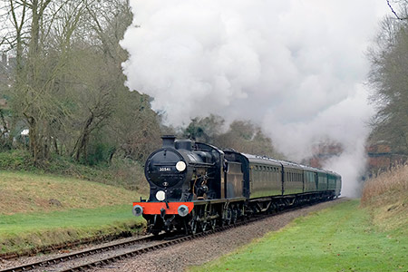 Q-class at West Hoathly with SR carriages - Brian Lacey - 28 December 2019