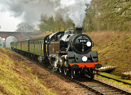 80151 in the cutting south of Three Arch Bridge - Steve Lee - 1 January 2020