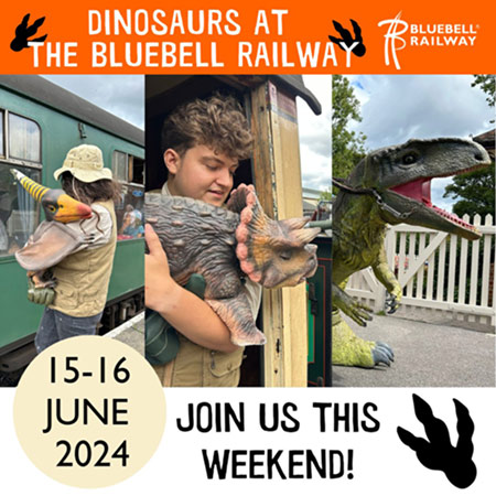 Dinosaur Weekend - 15-16 June 2024